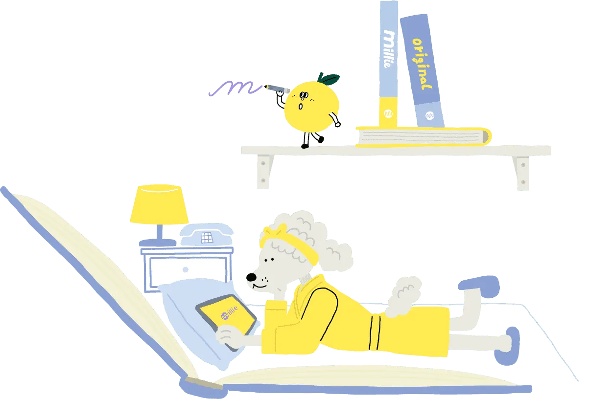 키비쥬얼이미지